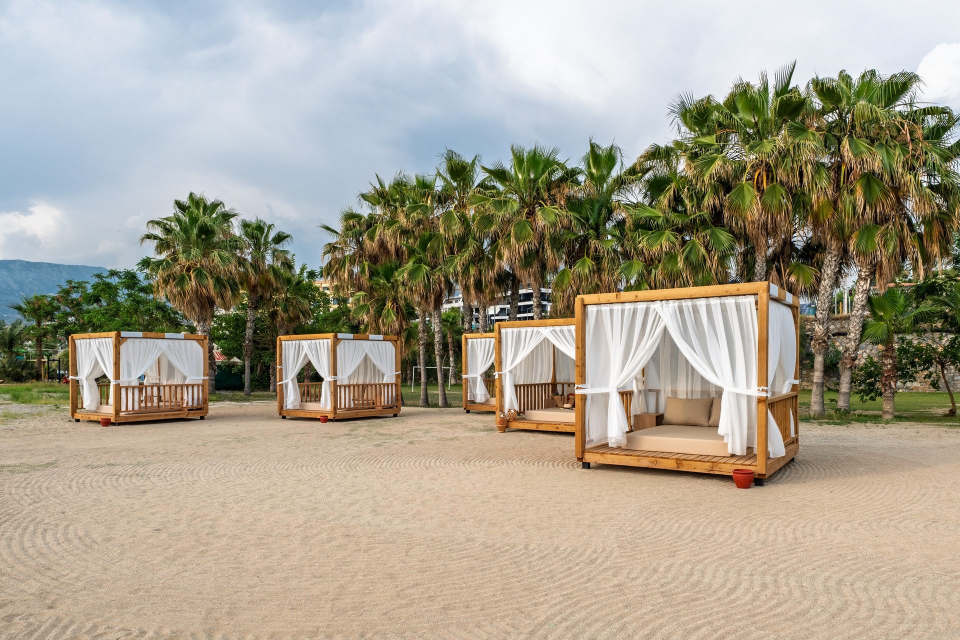 🌴