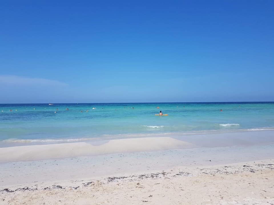🌴