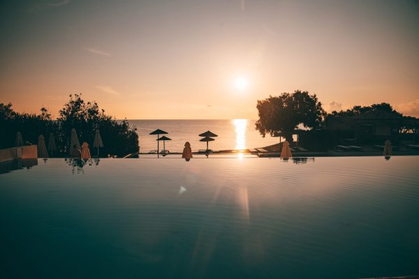 🌴