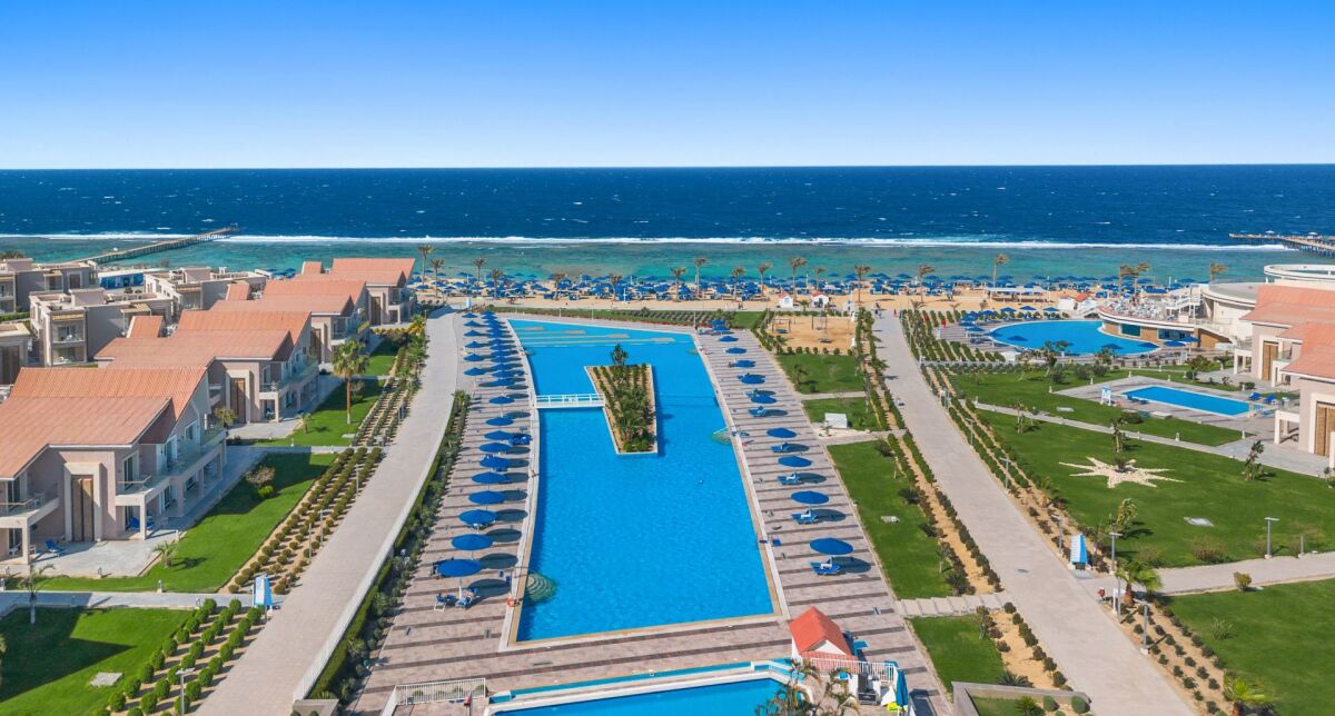 🌴