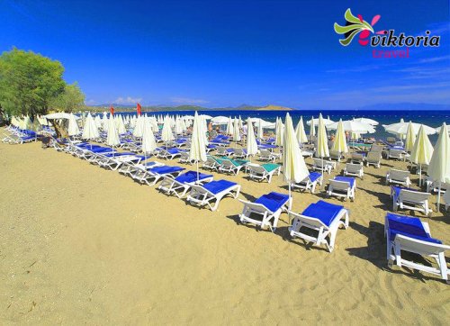 Turcja / BODRUM - hotel  Petunya Beach Resort **** ALL INC przy plazy! 2024