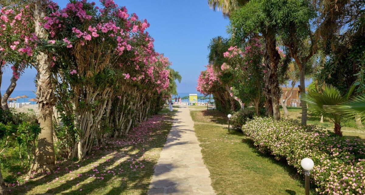 🌴