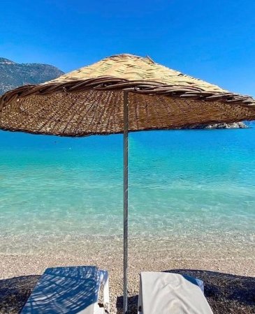 🌴