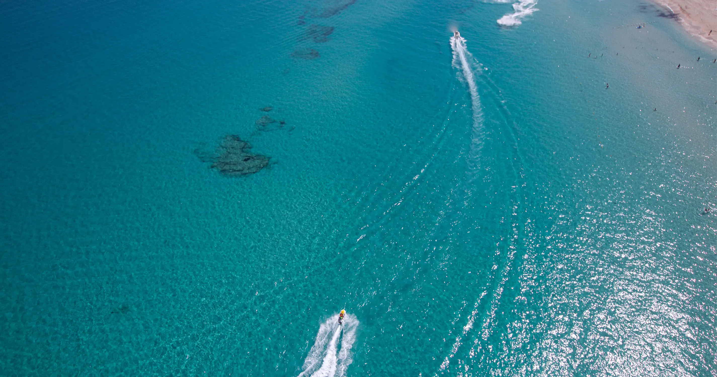 🌴