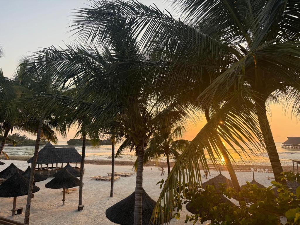 🌴