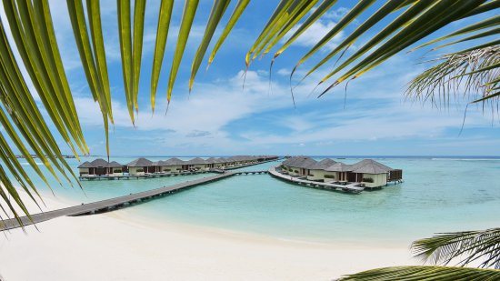 Malediwy / Male Atol / Lankanfinolhu Island - hotel Paradise Island Resort ***** polecamy ! 2021