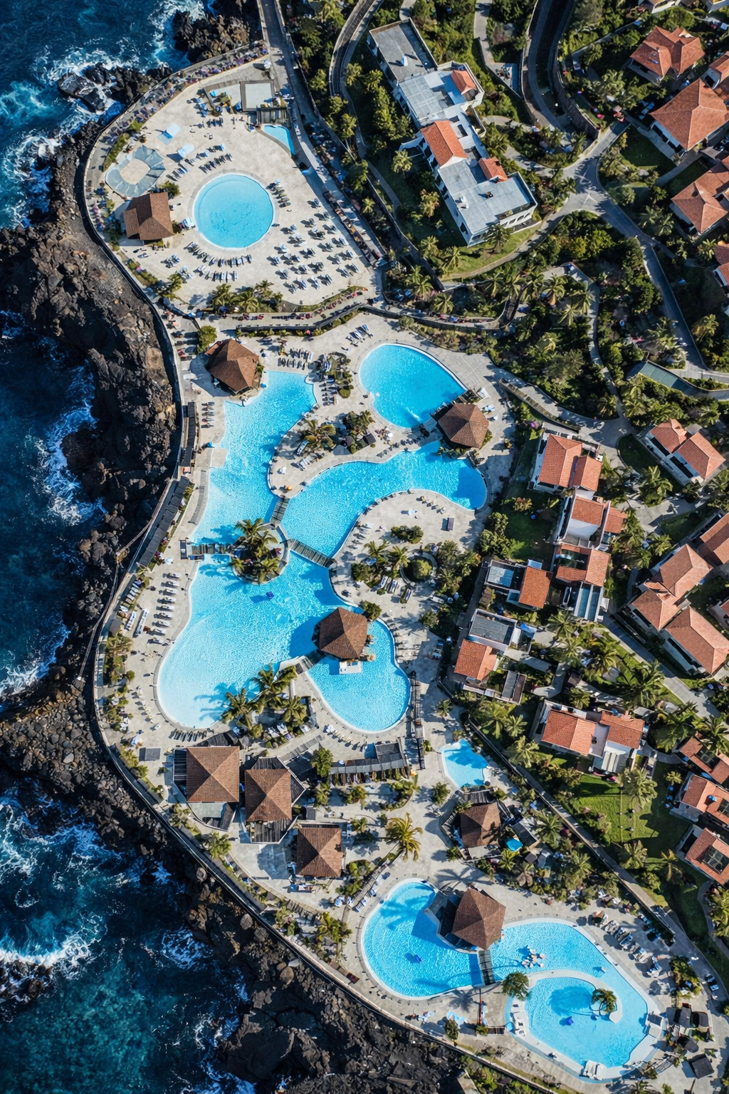 🌴