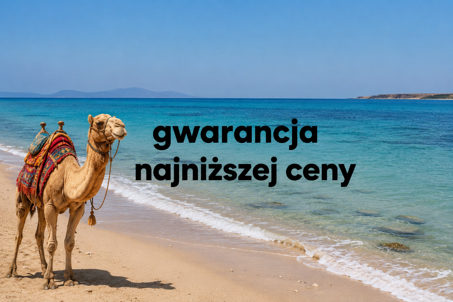 🌴