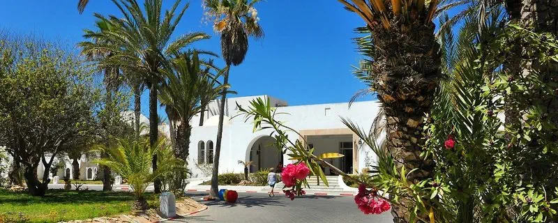 🌴