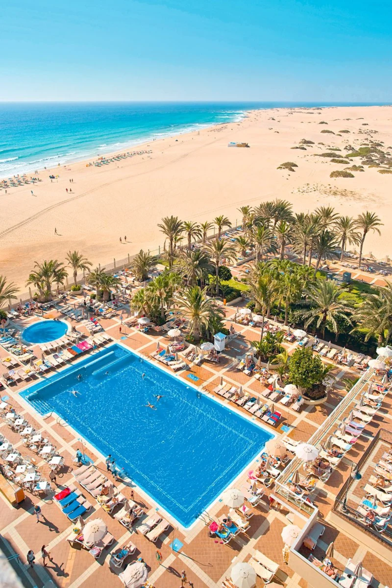 🌴
